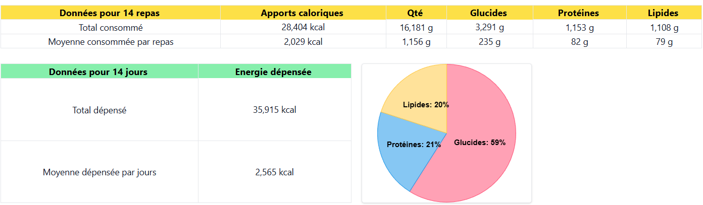 Synthèse du bilan mensuel avec calories consommées et énergie dépensée